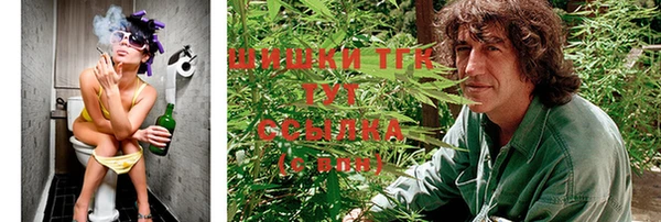 амф Алексин
