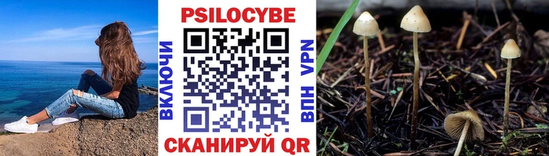 Галлюциногенные грибы мухоморы  цена наркотик  MEGA рабочий сайт  Ленинск-Кузнецкий 
