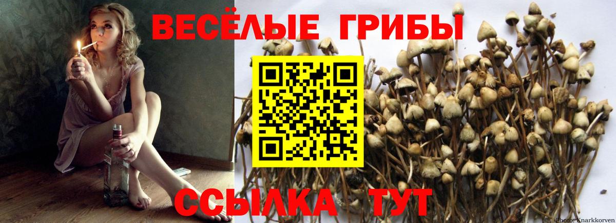 Галлюциногенные грибы ЛСД Ленинск-Кузнецкий