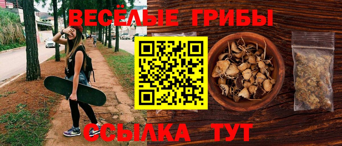 Псилоцибиновые грибы GOLDEN TEACHER  Псилоцибиновые грибы MAGIC MUSHROOMS  Ленинск-Кузнецкий  Вход с VPN 